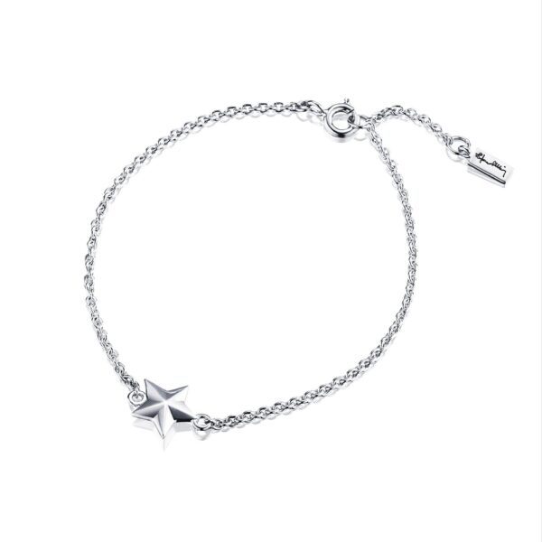 Catch A Falling Star Bracelet