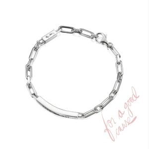Thin Silver Bracelet - Take No Shit.